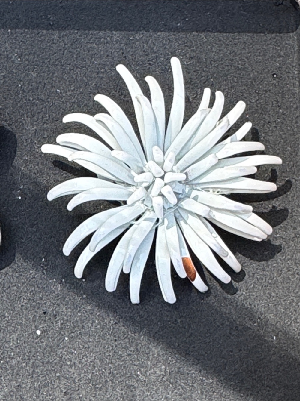 VINTAGE LOT OF SIX (6) ASSORTED METAL ENAMEL FLOWER BROOCHES PINS BROOCH - Picture 5 of 8